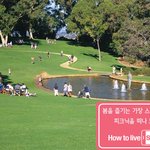 봄인데. 소풍 어때요? <b>how</b> to live smart