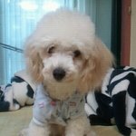 <b>부산분</b>들제발읽어주세요ㅠㅠ