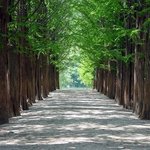 따가운 봄 햇살, <b>미리</b> 준비하는 피부케어 비법!!