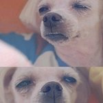아내에게 아이폰을 사줬습니다.. 휴 잡스형님