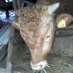 ☆짝사랑할때 흔히 하는 오글폭팔 상상퍼레이드☆-끗