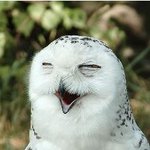 몸매는 뚱뚱한 <b>여자</b> <b>vs</b> 얼굴 까맣고 못생겼는데 몸매가 좋은 <b>여자</b>