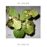 웃어라 동해야 뻔한 <b>대사</b> 시리즈 들 ㅋㅋㅋㅋ아놔