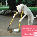 개매너?