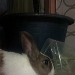 믿었던 애한테 제대로 배신당했네요... <b>절도</b>당함.=_=