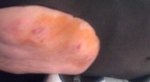 ★[사진有]  누가 저...스타킹좀 사주실래요?ㅋㅋ★