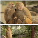 개코<b>원</b><b>숭</b>에와 유세윤의 관계는?