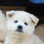 지금 나의 눈과 4시간 후 나의 눈 비교..^^;;