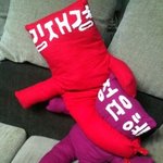 레인보우 재경 분신 공개?