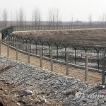 중국 사람들도 정은이를 싫어한다네요...