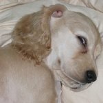 18세 男, 30살 女에게 빠져들다 (3) : 용기를 내란 말이야