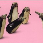 노안(老顔)으로 살아간다는 거란.