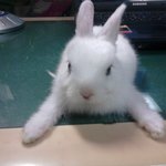 <b>아오</b>귀여워빡쵸 요즘내가사는이유. 동영상有