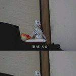 [3]★★걍 여기저기서주워들은거★★