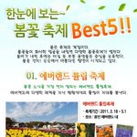 봄나들이 추천^^ <b>한눈</b>에 보는 봄꽃축제들