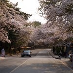 울산광역시 <b>동구</b> 대왕암공원