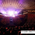 남자 <b>아이돌</b> 그룹의 <b>팬</b>덤별 특징