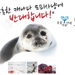 오메가3 이래도 드실껀가요??(제발도와주세요)
