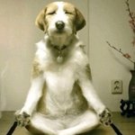 추천하고 인증샷 달리기  <b>help</b> me