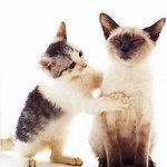 담배 <b>피면</b>.. 이곳이..아파여..