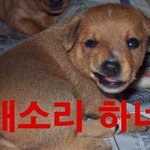 내가 정말....이말은 안<b>하려</b>했는데...