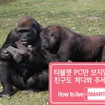 고릴라가 나보다 <b>위대</b>한 이유.jpg