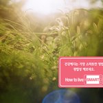 햇빛쬐는 시간과 수명은 비례?