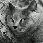 토익스터디로 토익 <b>올인</b> vs 공무원영어 <b>올인</b>.. 토익스터디 무셔...