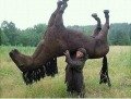 ★사진有 톡커님들?복수좀도와주삼ㅜ친구가죽을뻔했다고염...★