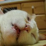 ☆☆ 밥먹고나니 ☆☆