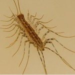 일본 개그맨들이 말해주는 무서운 이야기 6