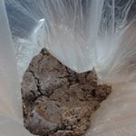 ★★☆☆ (사진有) 친구 생일선물로 준 똥 ☆☆★★