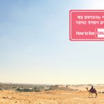 여자 혼자 <b>사막</b>여행가기!