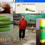 당신의 <b>순수</b>성을 테스트해봅니다
