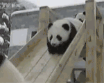 <b>우럭</b>이다