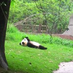<b>우럭</b>너이놈