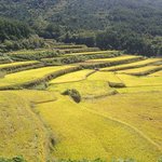 <b>1박</b><b>2일</b>이 나왔던 지리산둘레길좋나요?
