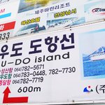 홀로 떠난 여행 - <b>우도</b>에서의 환상적인 자전거일주 ★