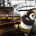 <b>팬더</b>도 무서워하는 방사능비 느님ㅋㅋㅋㅋㅋㅋㅋ