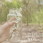 <b>하루</b> <b>종일</b> <b>비</b>가 오네요.ㅠ0ㅠ