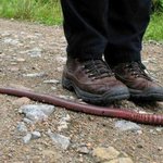 서프라이~즈한 혹은 미스테리한 이야기 셋