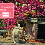 좋아하는 남자랑 <b>산책</b>가기