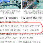 누구말을 믿어야되는거야?
