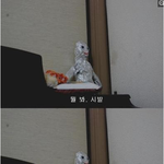 <b>대장</b>? ㅋㅋㅋ