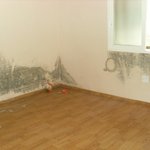 여러분이라면 <b>이런집</b>에 이사갈 수 있으신가요?