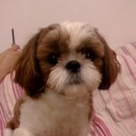 저..사랑하는 사람도 잃고,가족도 잃었습니다...