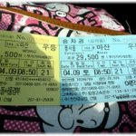 26살!! 혼자 진해 군항제 다녀왔어요