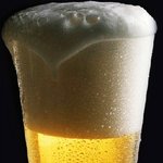 맥주남 >>> 맥<b>믈</b><b>리에</b>로 변경...