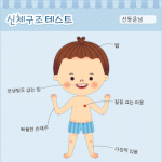 <b>신체</b>구조 테스트