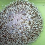 <b>gs</b>슈퍼 수원애경점 수족관 뒷얘기.